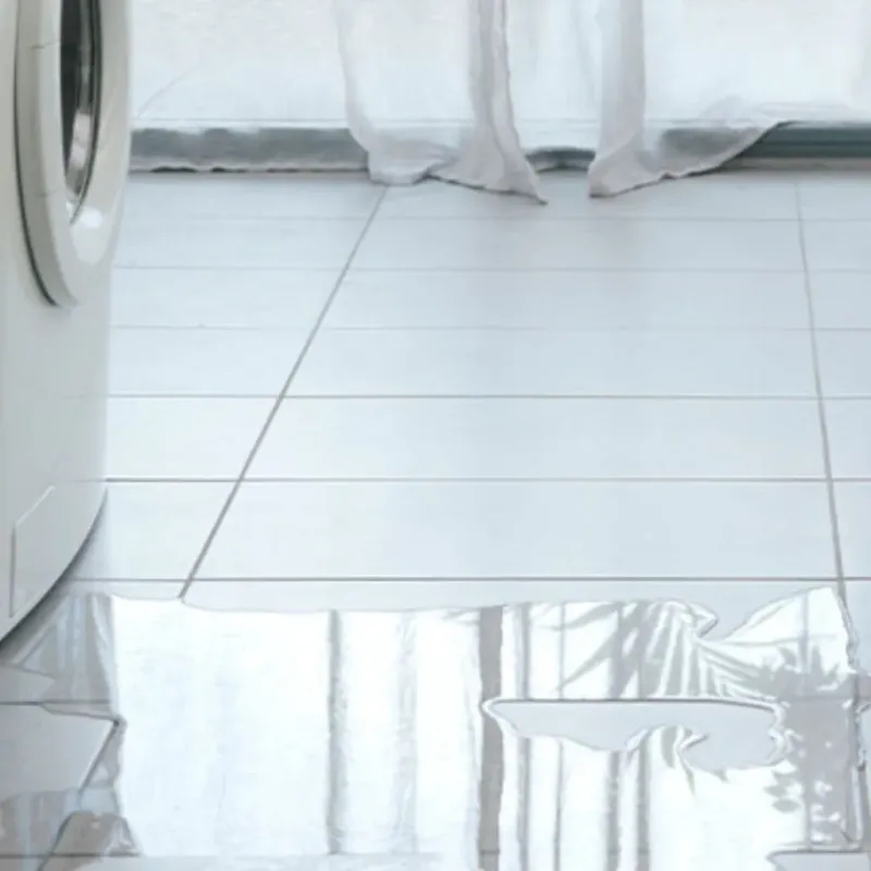 Appliance Leak Cleanup in Kosciusko, MS