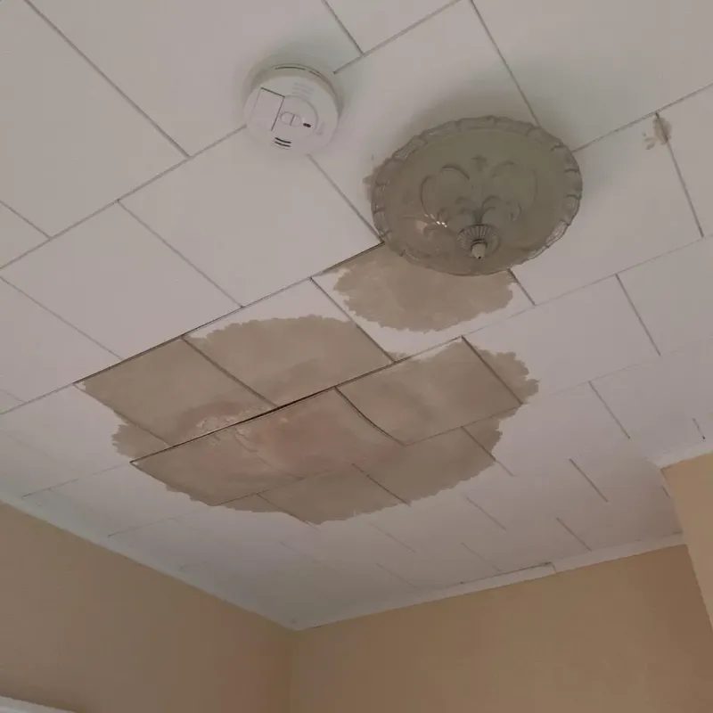 Ceiling Water Damage Repair in Kosciusko, MS